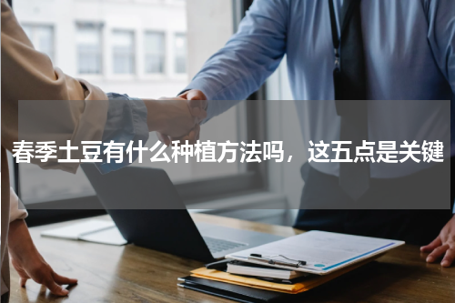 春季土豆有什么种植方法吗，这五点是关键
