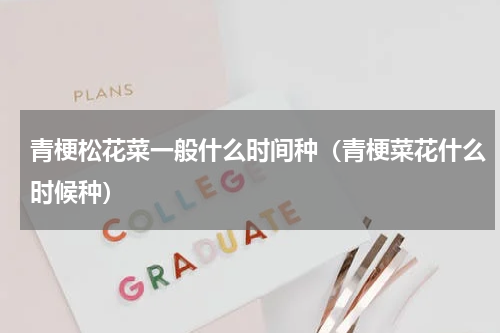 青梗松花菜一般什么时间种（青梗菜花什么时候种）