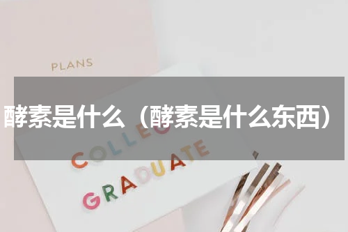 酵素是什么（酵素是什么东西）