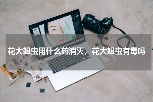 花大姐虫用什么药消灭，花大姐虫有毒吗