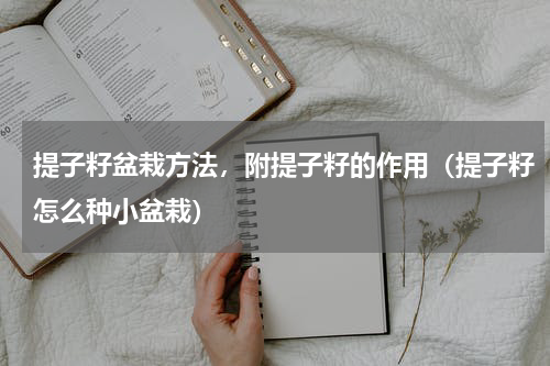提子籽盆栽方法，附提子籽的作用（提子籽怎么种小盆栽）