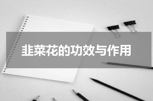 韭菜花的功效与作用