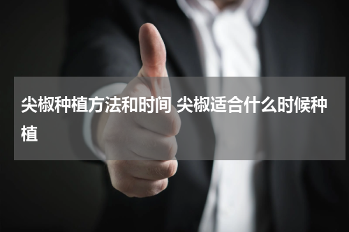 尖椒种植方法和时间 尖椒适合什么时候种植