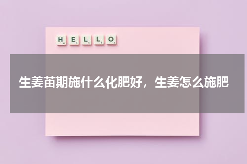 生姜苖期施什么化肥好，生姜怎么施肥