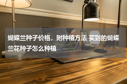 蝴蝶兰种子价格，附种植方法 买到的蝴蝶兰花种子怎么种植