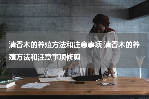 清香木的养殖方法和注意事项 清香木的养殖方法和注意事项修剪