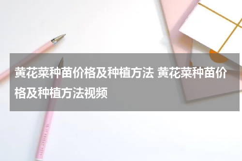 黄花菜种苗价格及种植方法 黄花菜种苗价格及种植方法视频