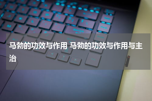 马勃的功效与作用 马勃的功效与作用与主治