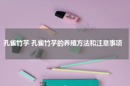 孔雀竹芋 孔雀竹芋的养殖方法和注意事项
