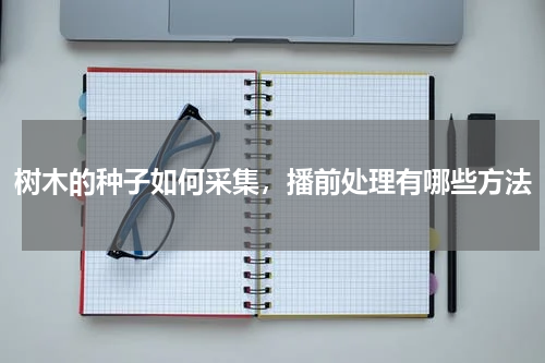树木的种子如何采集，播前处理有哪些方法