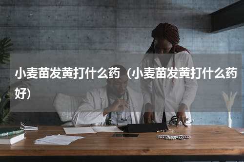 小麦苗发黄打什么药（小麦苗发黄打什么药好）