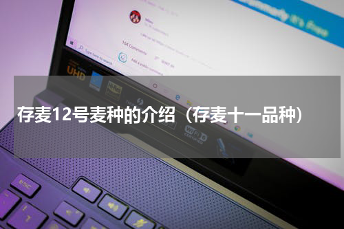 存麦12号麦种的介绍（存麦十一品种）