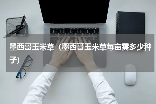 墨西哥玉米草（墨西哥玉米草每亩需多少种子）