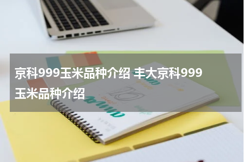 京科999玉米品种介绍 丰大京科999玉米品种介绍