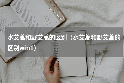 水艾蒿和野艾蒿的区别（水艾蒿和野艾蒿的区别win1）