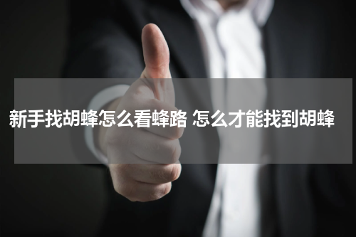 新手找胡蜂怎么看蜂路 怎么才能找到胡蜂