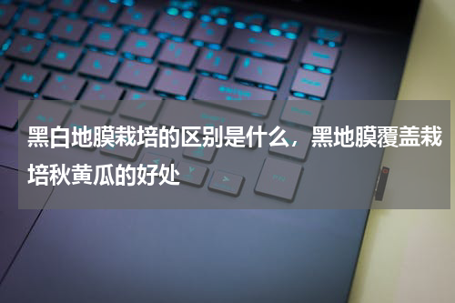 黑白地膜栽培的区别是什么，黑地膜覆盖栽培秋黄瓜的好处