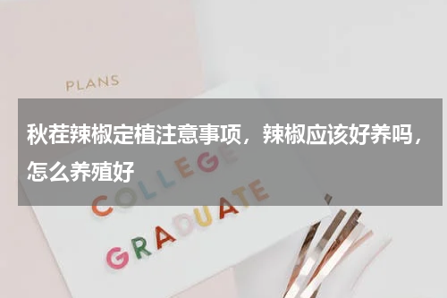 秋茬辣椒定植注意事项，辣椒应该好养吗，怎么养殖好