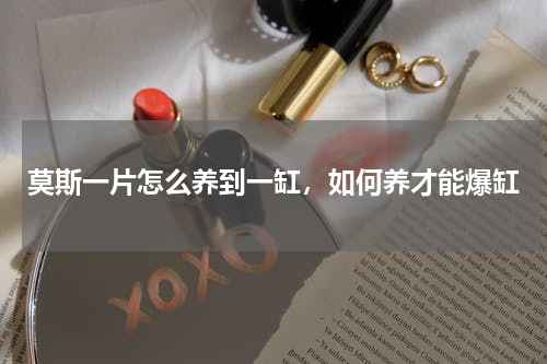 莫斯一片怎么养到一缸，如何养才能爆缸