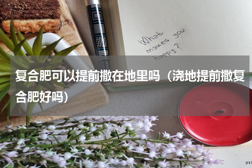 复合肥可以提前撒在地里吗（浇地提前撒复合肥好吗）