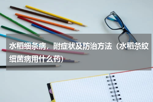 水稻细条病，附症状及防治方法（水稻条纹细菌病用什么药）