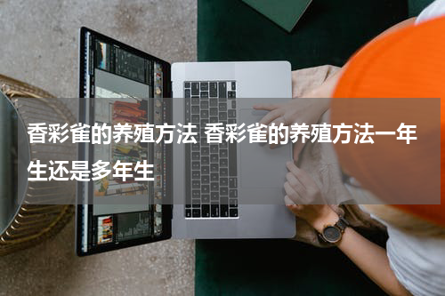 香彩雀的养殖方法 香彩雀的养殖方法一年生还是多年生