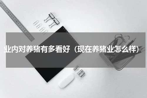 业内对养猪有多看好（现在养猪业怎么样）