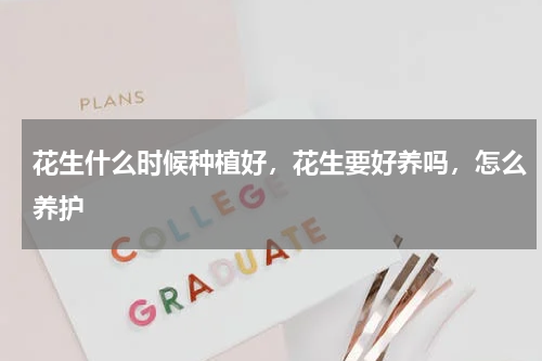 花生什么时候种植好，花生要好养吗，怎么养护