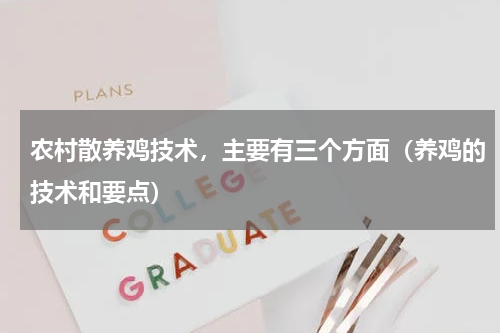 农村散养鸡技术，主要有三个方面（养鸡的技术和要点）