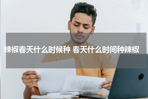 辣椒春天什么时候种 春天什么时间种辣椒