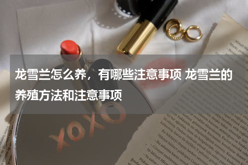 龙雪兰怎么养，有哪些注意事项 龙雪兰的养殖方法和注意事项