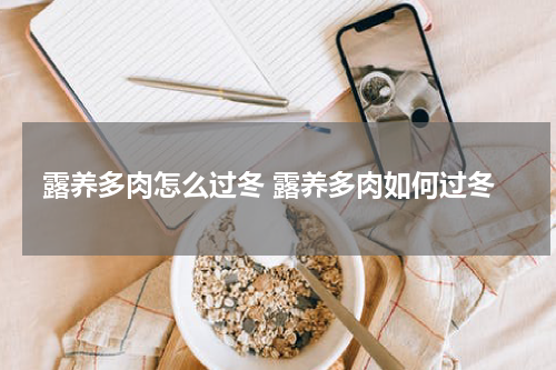 露养多肉怎么过冬 露养多肉如何过冬