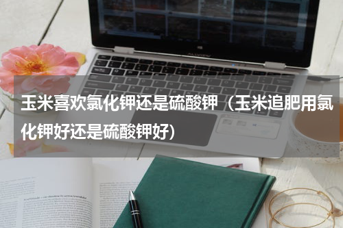 玉米喜欢氯化钾还是硫酸钾（玉米追肥用氯化钾好还是硫酸钾好）