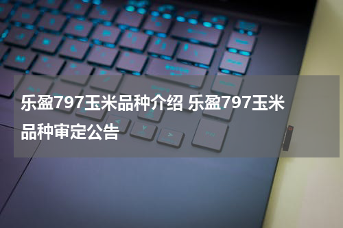 乐盈797玉米品种介绍 乐盈797玉米品种审定公告