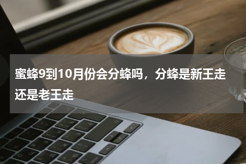 蜜蜂9到10月份会分蜂吗，分蜂是新王走还是老王走
