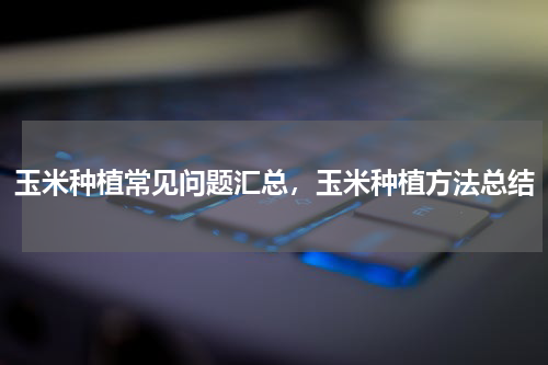 玉米种植常见问题汇总，玉米种植方法总结