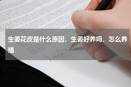 生姜花皮是什么原因，生姜好养吗，怎么养殖