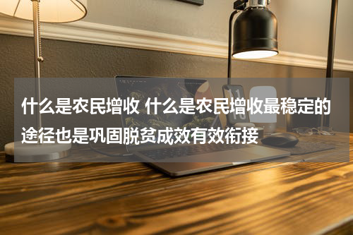 什么是农民增收 什么是农民增收最稳定的途径也是巩固脱贫成效有效衔接