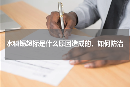 水稻镉超标是什么原因造成的，如何防治