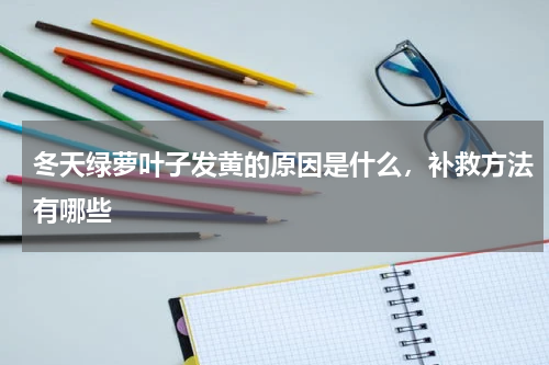 冬天绿萝叶子发黄的原因是什么，补救方法有哪些
