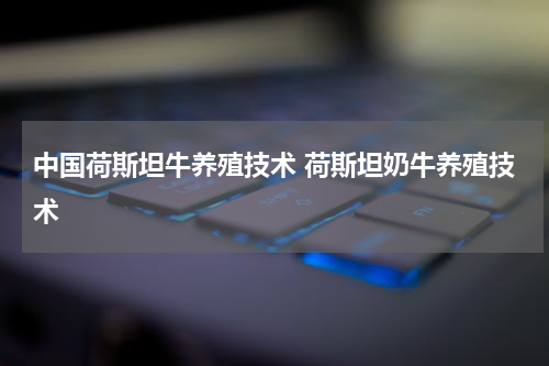 中国荷斯坦牛养殖技术 荷斯坦奶牛养殖技术
