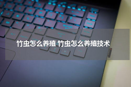 竹虫怎么养殖 竹虫怎么养殖技术