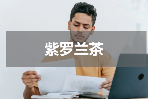 紫罗兰茶