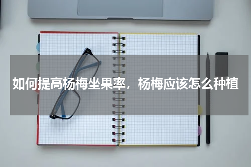 如何提高杨梅坐果率，杨梅应该怎么种植