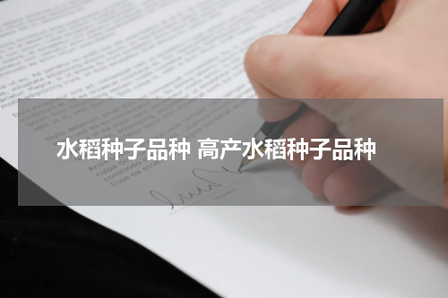 水稻种子品种 高产水稻种子品种