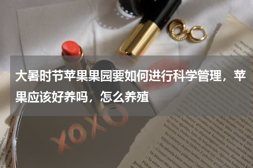 大暑时节苹果果园要如何进行科学管理，苹果应该好养吗，怎么养殖