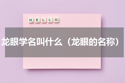 龙眼学名叫什么（龙眼的名称）
