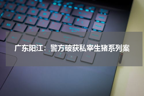 广东阳江：警方破获私宰生猪系列案