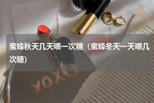 蜜蜂秋天几天喂一次糖（蜜蜂冬天一天喂几次糖）