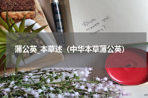 蒲公英_本草述（中华本草蒲公英）